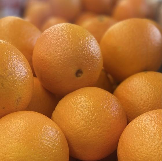Oranges Navelines