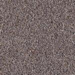 61089-graines-chia