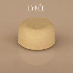 61716-dentifrice-solide-menthe-lyree-20ml-v2