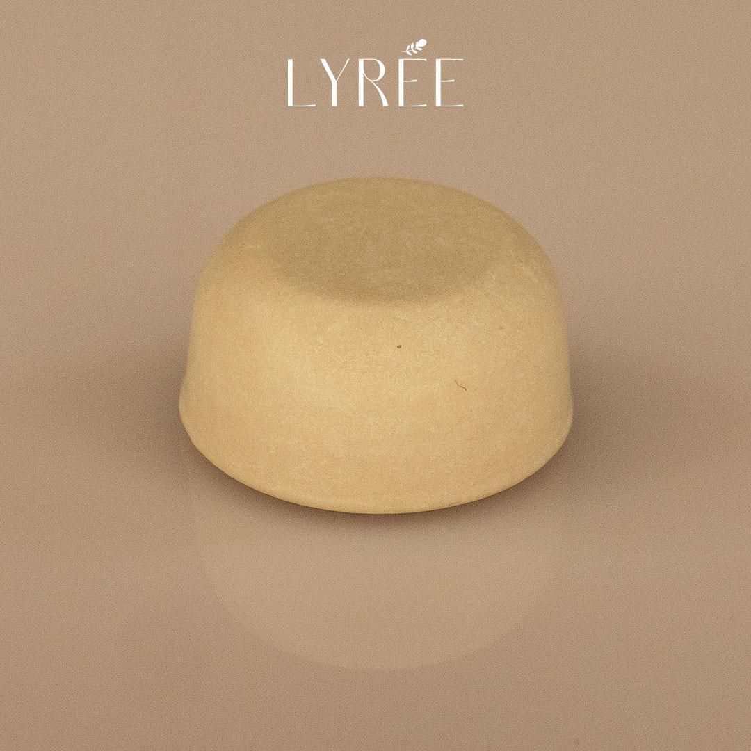 DENTIFRICE SOLIDE MENTHE LYREE 20 ML