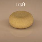 61841-shampoing-solide-cheveux-gras-lyree-85ml